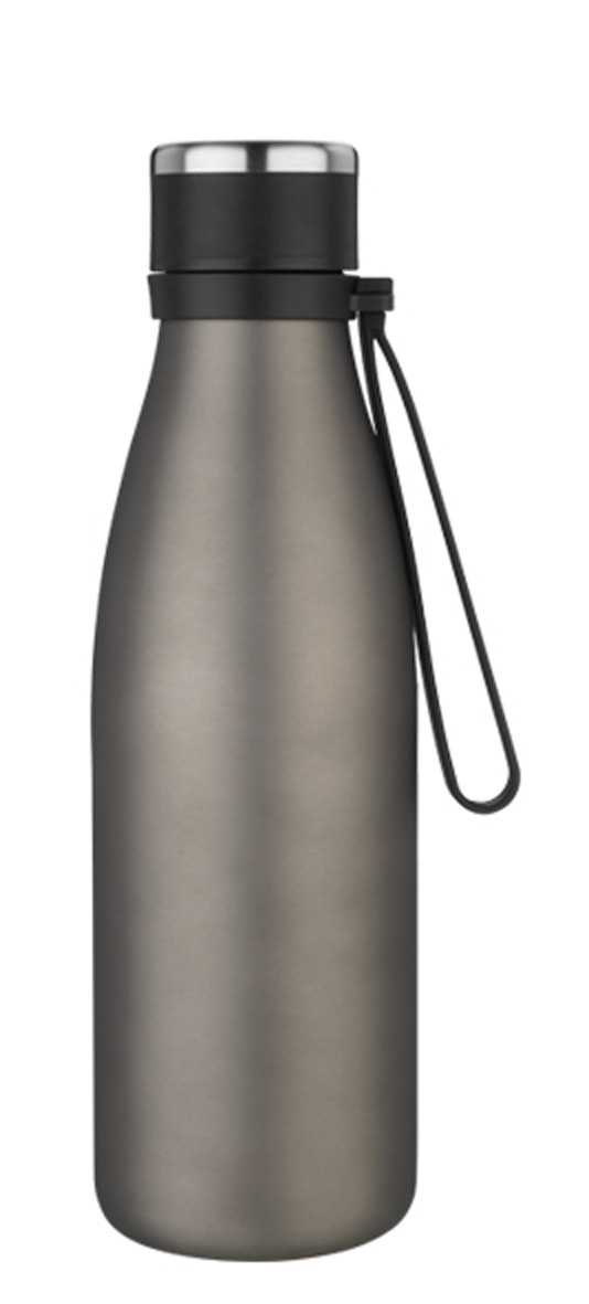 EVA Isolier-Trinkflasche Inox grau matt 0.55Liter 06 03 31 - kaufen bei