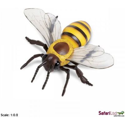 Safari Ltd. Honigbiene Bild 5