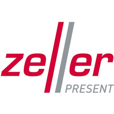 Zeller Present Filz Wäschesammler Anthrazit 35x30x55cm - Praktisch &  Stilvoll auf