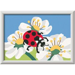 Ravensburger Paint by Numbers CreArt Ladybug with flowers