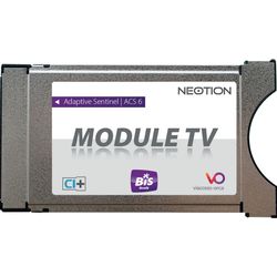 Ce-Scouting Modulo CI CI Viaccess CAM adatto per Bis-TV (integrato)