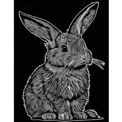 Tataruga Velvet picture A4, rabbit