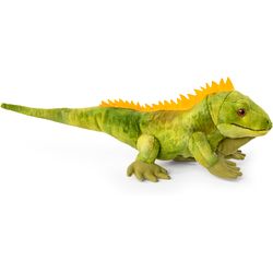 Living Nature Iguana