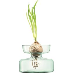 LSA International Canopy vase bulb planter H10cm - recy. Optics