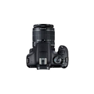 Canon EOS 2000D EF-S 18-55mm IS Bild 7