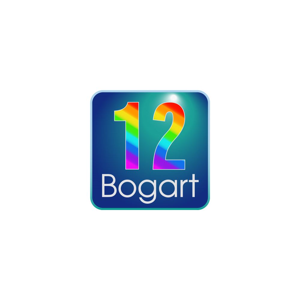 Bogart 12 pour Windows Update à partir de V11 Silver Bild 1