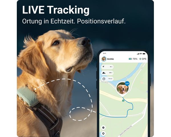 Tractive GPS DOG XL - Tracker GPS pour chiens - vert - acheter chez