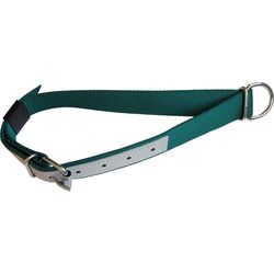 Sachs Halsband für ZiegenSchafe mit Rollschnalle 6 mm 65 cm