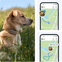 Tractive GPS DOG 6 - brown