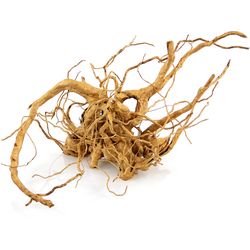 Amazonas Decoration Finger Root S, 20-30 cm