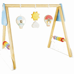 Le Toy Van Baby trainer