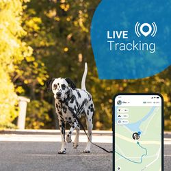 Tractive GPS DOG 4 - Localizzatore GPS per cani - marrone