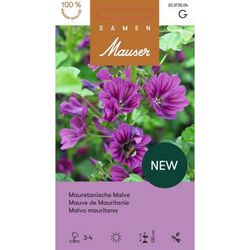 Samen Mauser Malva mauritana