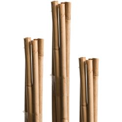 WINDHAGER Bastoncini di tonchino 60cm5-7mm 05606 10pz