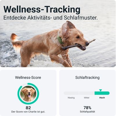 Tractive GPS DOG XL - Tracker GPS pour chiens - vert - acheter