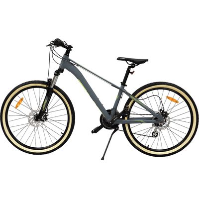 Phoenix MTB26 Mountain Bike gray / yellow