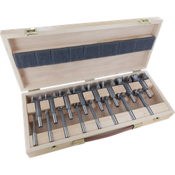 Famag Set di punte Forstner WS 16 pezzi