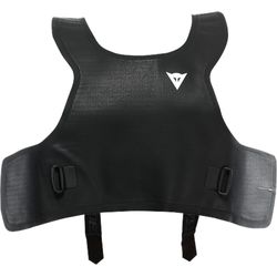 Dainese D-Air Ski 2 Shield Replacement black 3