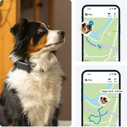 Tractive GPS DOG 6 - black