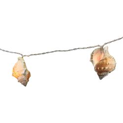 Dameco Catena luminosa marittima con conchiglie