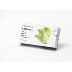 Tregren Lettuce