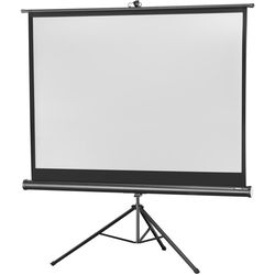 Celexon Stativleinwand Eco 244x183 cm 4:3