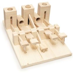 Hundespiele.ch Strategy game organ, medium difficulty