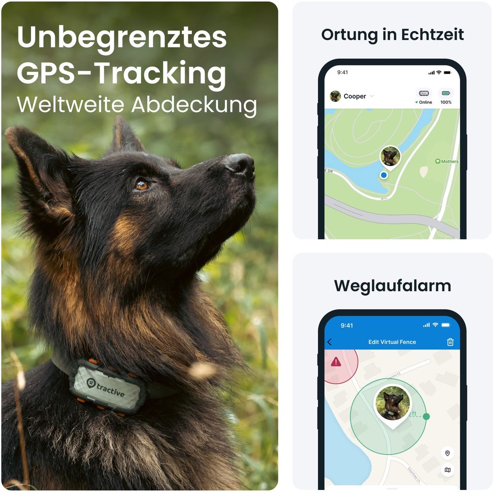 Tractive GPS DOG XL - Tracker GPS pour chiens - gris - acheter