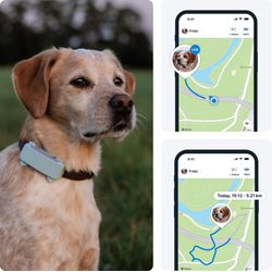 Tractive GPS DOG 6 - mint