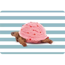 Easy Life Double-sided placemat turtle PVC