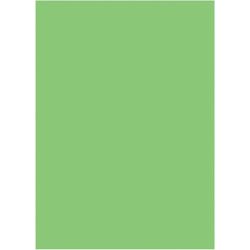 Amscan Tischdecke 137x274cm hellgrün aus Papier