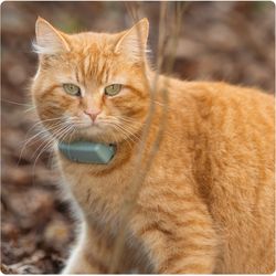Tractive GPS CAT Mini - mint