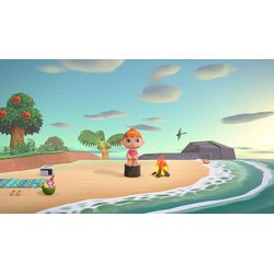 Nintendo Animal Crossing: New Horizons [NSW] (D/F/I)