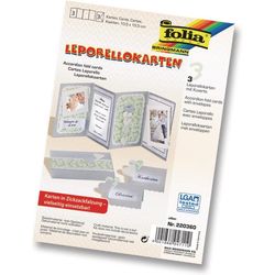 Folia Leporello-Karten 300g/m2 Silber