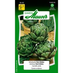 Samen Mauser Semi di carciofo Vert Globe