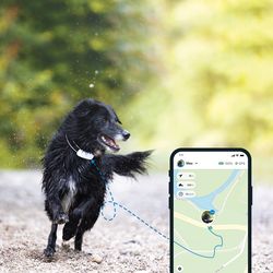 Tractive GPS DOG 4 - GPS Tracker for dogs - white