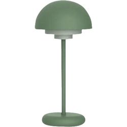 Schoenenberger 97.013-GR Verde