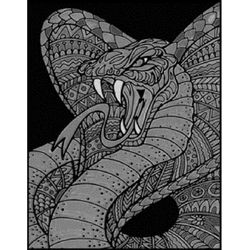 Tataruga Velvet picture A4, Cobra
