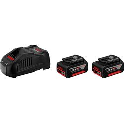 Bosch Professional Batteria e caricabatterie 2 x GBA 18 V 5 Ah