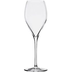 Stölzle Sparkling &amp; Water champagne glass 343ml h: 232mm