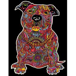 Tataruga Velvet picture A4, Pitbull