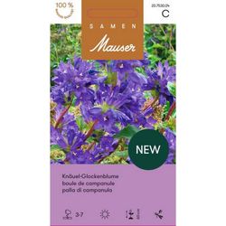 Samen Mauser Campanula glomerata