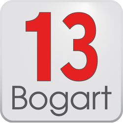 Bogart SE 13 Upgrade von V11 - V8