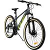 Phoenix MTB26 Mountain Bike gray / yellow thumb 0