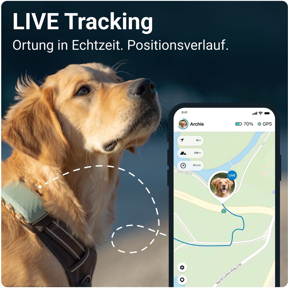 Tractive GPS DOG XL - Tracker GPS pour chiens - vert - acheter