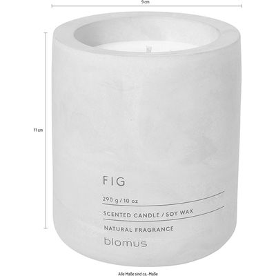 Blomus FRAGA - Duftkerze H11cm Dust bei ø9cm Rose kaufen 65655 L