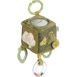 Fehn Activity Cube Chameleon