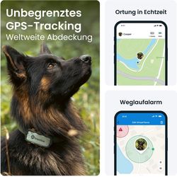 Tractive GPS DOG XL - GPS Tracker for dogs - gray