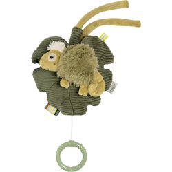 Fehn Chameleon Music Box