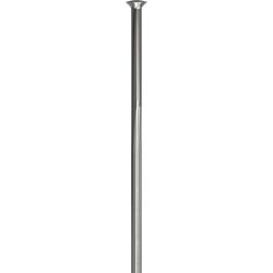 DT Swiss Complite SP raggi 2.0/1.75/2.0x1.3 argento